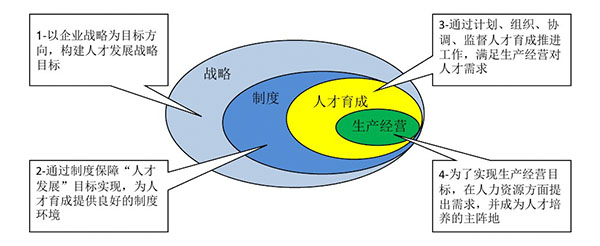 人才發展體系