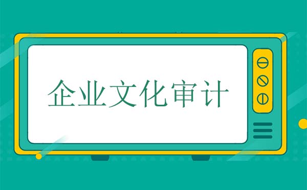 企業(yè)文化審計(jì)