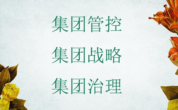 集團管控、集團戰略以及集團治理三者的區別